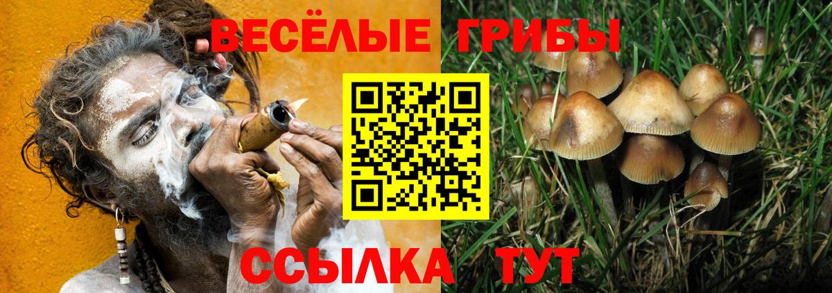 Галлюциногенные грибы мицелий Железноводск
