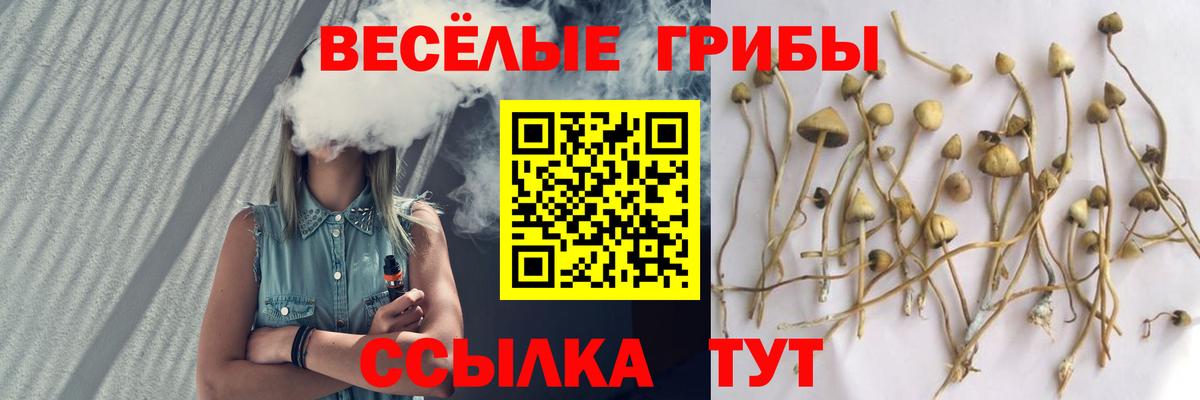 Железноводск  Галлюциногенные грибы мухоморы  Вход с VPN 